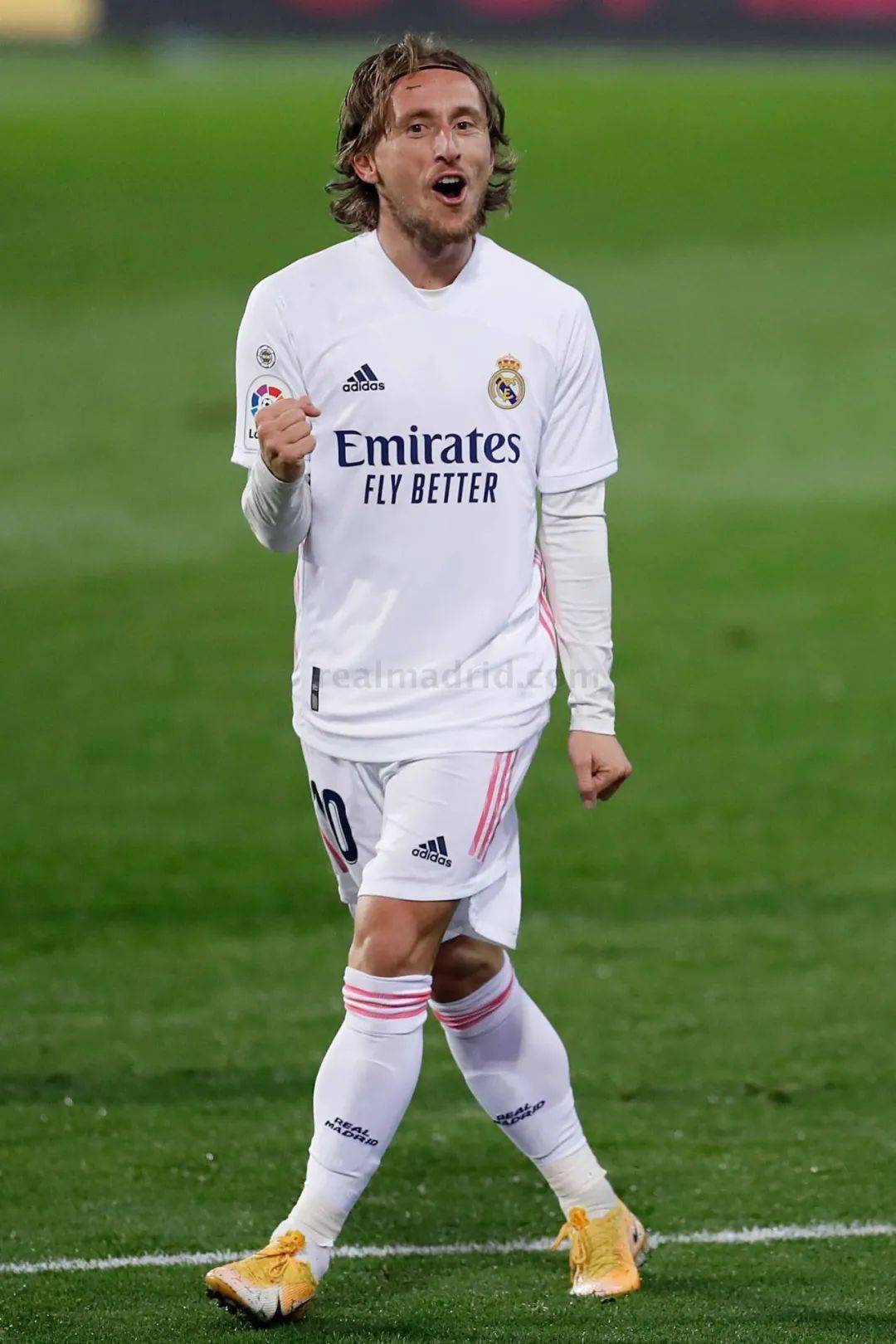 仅巩固了胜 仅巩固了胜